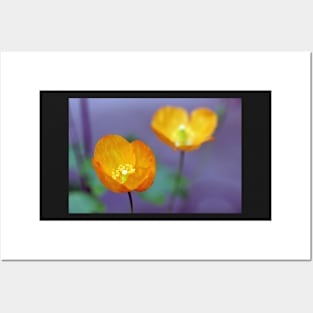 Orange Poppies Posters and Art